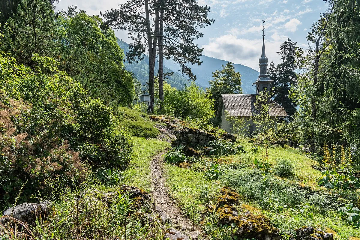 Le jardin botanique alpin La Jaÿsinia, à Samoëns
