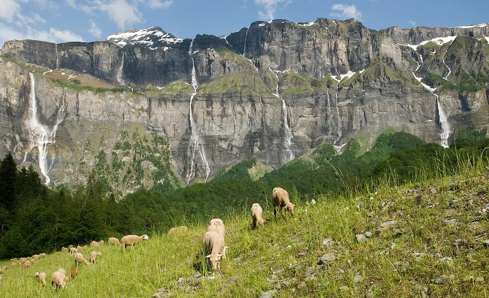 Le Cirque du Fer-à-Cheval : une cascade
