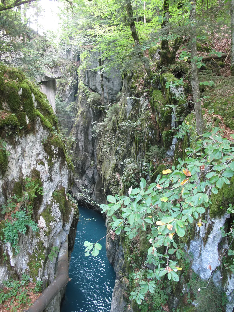 Le Giffre dans les gorges des Tines, entre les parois rocheuses