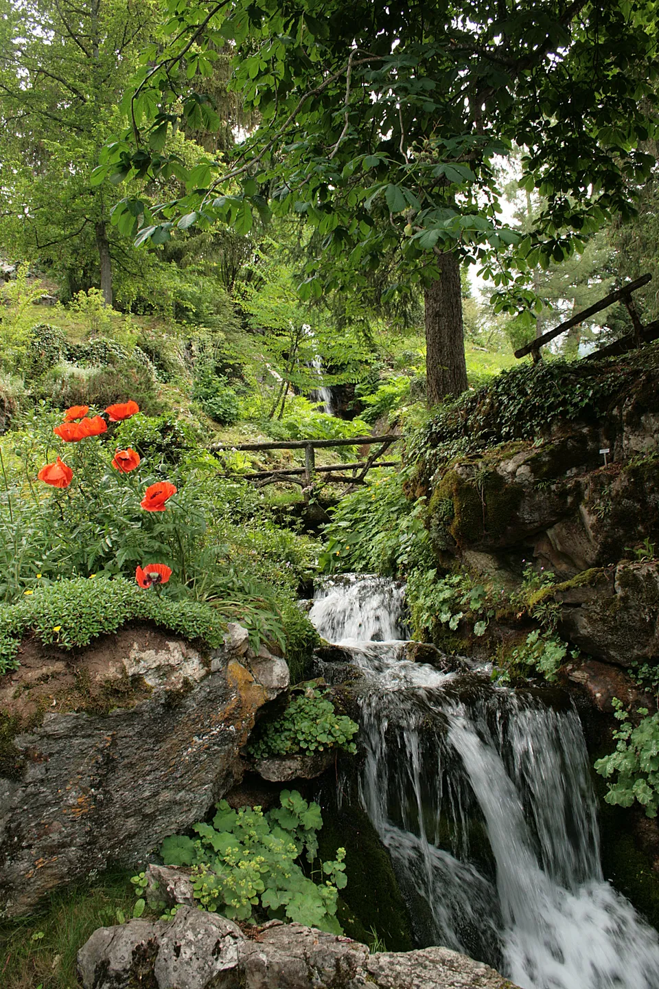 Une cascade et les plantations du jardin botanique alpin La Jaÿsinia